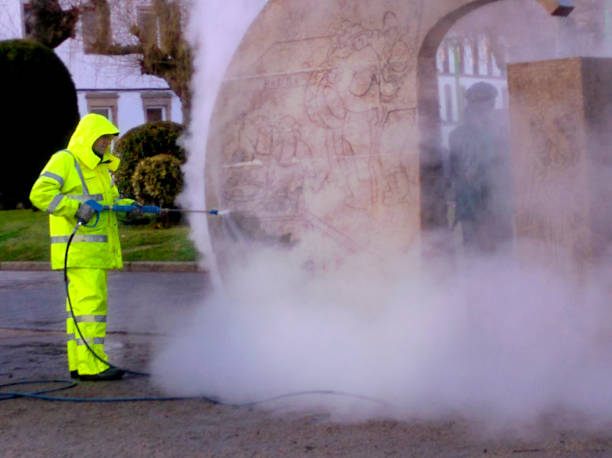 Best Pressure Washing Driveway  in Lake Secession, SC
